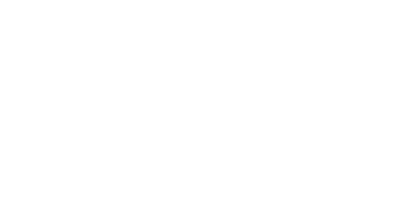 logo wordpress